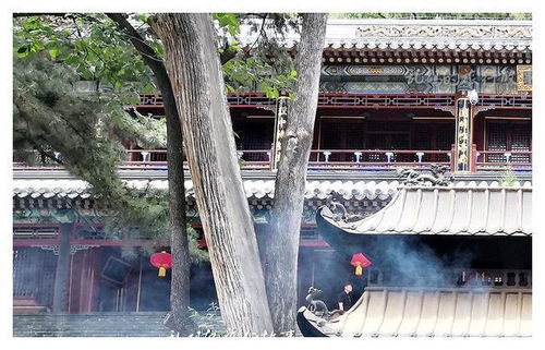 桂平哪个寺庙求姻缘准确(桂平寺庙地址)