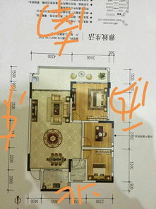 属虎的房间风水姻缘(属虎住房风水)
