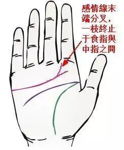 女人左手姻缘线分析图解(女人左手婚姻线图解大全)