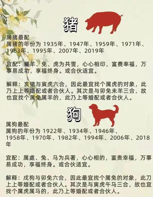 十二生肖婚配姻缘怎样(十二生肖的婚姻配对)