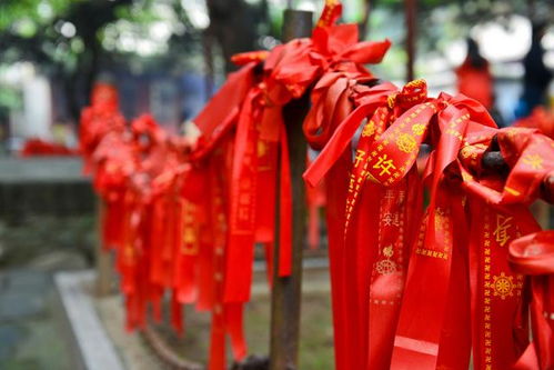 杭州姻缘渡婚介所(杭州姻缘寺庙有哪些)