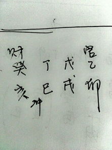 甲戌丙寅庚寅丁亥男姻缘(甲戌丙寅癸亥丁巳)