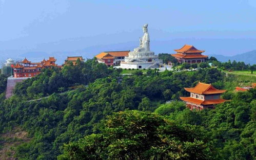 广东观音山姻缘圣地(广东观音山上的寺庙名称)