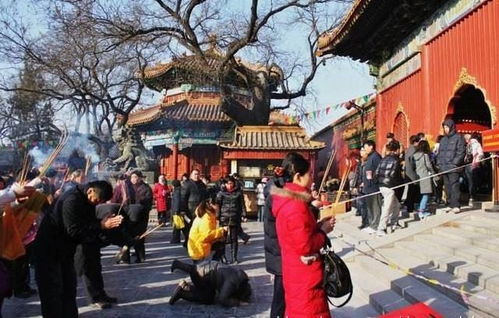 洛阳求姻缘最准的寺庙(洛阳 求姻缘)
