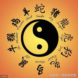 驻马店算姻缘的地方(驻马店哪个地方算命算的好)