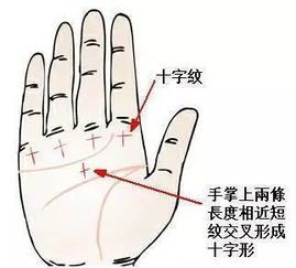 手相姻缘线有黑印纹(姻缘线是手上的哪一根线女)