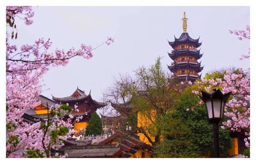 男子求姻缘带什么水果(男的求姻缘哪个寺庙)