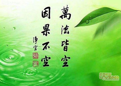 业障消了 姻缘就来了吧(业障消了福报才现前)