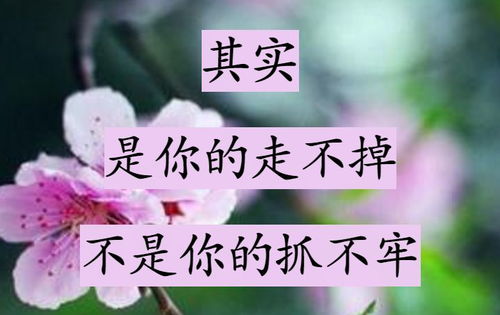 佛说姻缘不要自己找人(佛说姻缘不可强求)