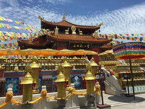南国桃园南海观音求姻缘(南海桃园观音寺)