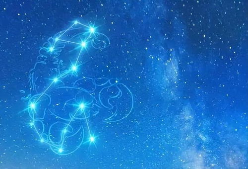 水瓶双鱼的姻缘是什么(水瓶双鱼的姻缘是什么意思)
