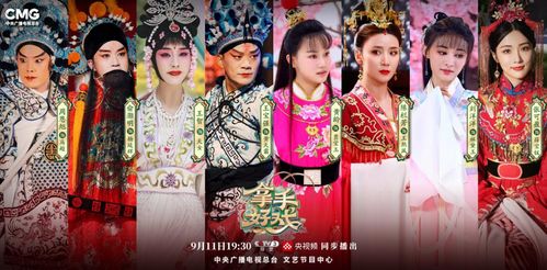 豫剧巧合姻缘剧情简介(豫剧巧配鸳鸯剧情介绍)