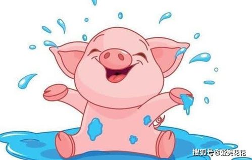 属猪的人姻缘怎么样(属猪人的婚姻与命运 十二生肖)