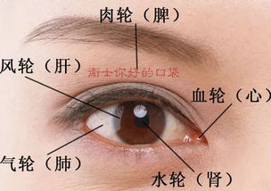 眼睛受伤影响姻缘吗吗(眼睛受伤命好吗)