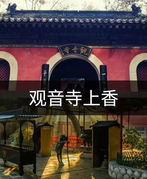 红螺寺姻缘树在哪(红螺寺姻缘怎么求)