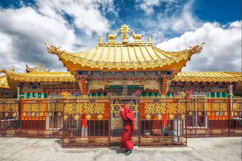 南山寺求姻缘地方(南山寺求子在哪里求)
