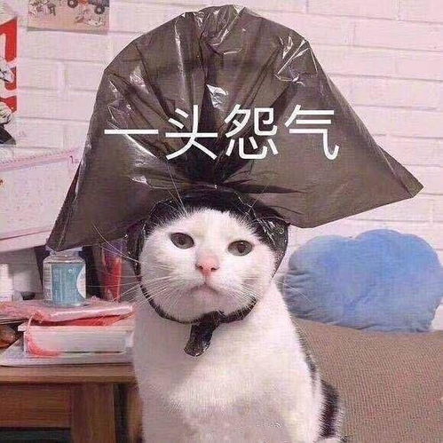 求姻缘沙雕图片大全(求姻缘搞笑图片)