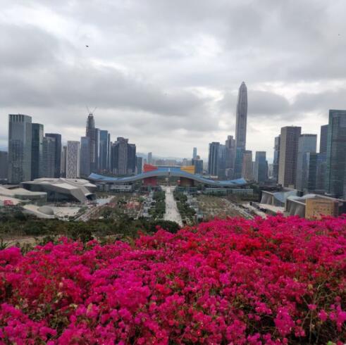 深圳仙湖求姻缘灵吗(深圳仙湖里有人算命可信吗)