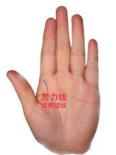 手相姻缘怎么看财运(手相看姻缘准不准)