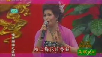 啼笑姻缘滑稽戏版(啼笑姻缘主题曲视频)