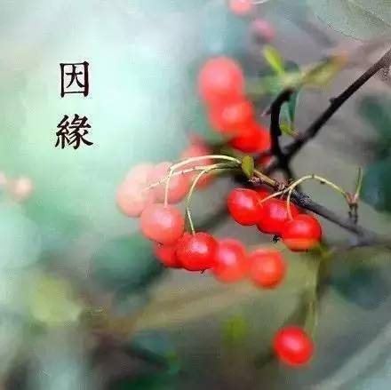 佛教夫妻姻缘类型有哪些(佛家婚姻缘分的解释)