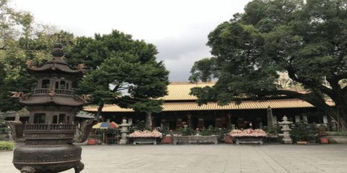 现在管姻缘的是什么(管姻缘的寺庙)
