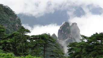 三清山神仙姻缘(三清山求什么最灵)