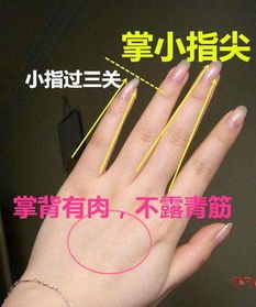 女手掌怎么看姻缘(如何看手相女婚姻)
