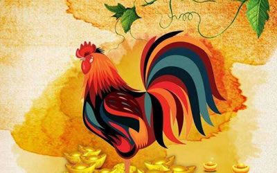 属马的如何旺姻缘(属马的姻缘在哪个方向)