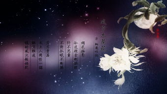 祈求姻缘的咒语怎么念(求姻缘祈福词)