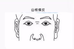从面相哪里看姻缘好(面相哪里看感情)