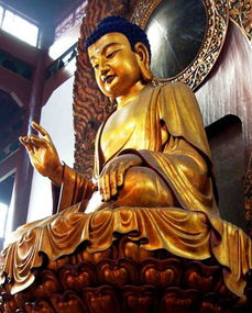 佛教达摩的前世姻缘是(达摩转世有谁)