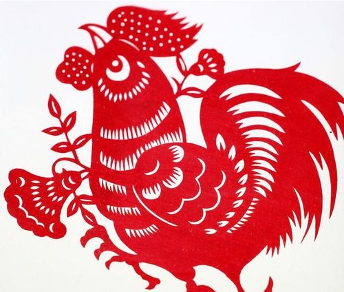 生肖鸡在虎年的姻缘(生肖鸡遇虎年)