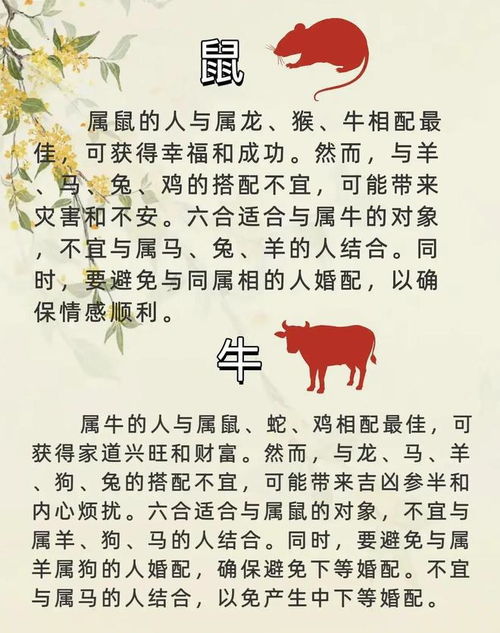 十二生肖配对姻缘不对(十二生肖配对姻缘不对怎么办)