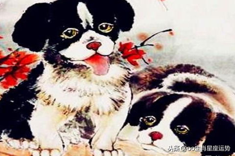 女狗最佳姻缘配对图(女狗的婚姻最佳配偶是什么属相)