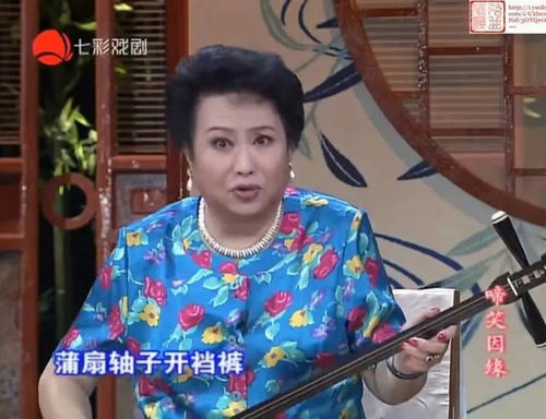 蒋云仙啼笑姻缘33(长篇评弹蒋云仙啼笑姻缘全集)
