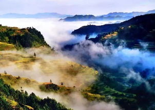 雷山小过之雷火丰姻缘(雷火丰之雷山小过卦)