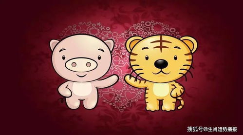 虎年有姻缘的生肖男(虎年有姻缘的生肖男是什么)