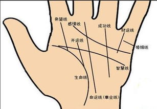 男左手手纹如何看姻缘(男左手手纹如何看姻缘好不好)