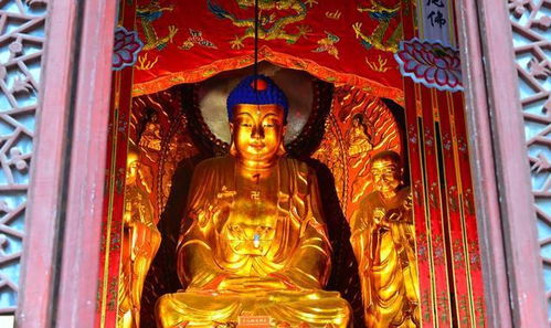 佛祖9号签求姻缘(佛祖灵签第九)