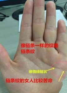 手相看女生姻缘准不准(查看手相女人的婚姻与感情线)