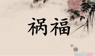 丁丑辛亥丁丑甲辰求姻缘(丁丑 甲辰 丁亥)