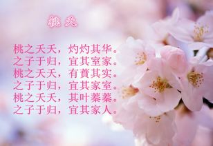 姻缘不好如何化解桃花(婚姻不顺 因为桃花多)