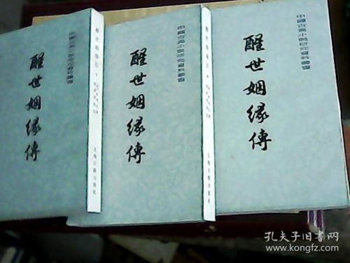 醒世姻缘传小说txt(醒世姻缘传小说作者)
