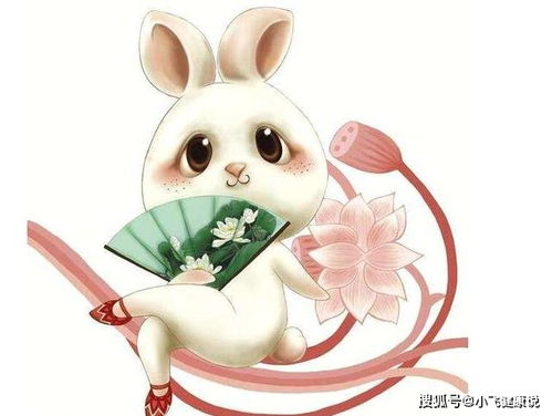 虎年生肖兔的姻缘(虎年 生肖兔)