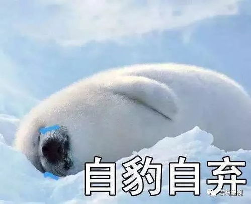什么姻缘一线牵(姻缘一线牵表情包)