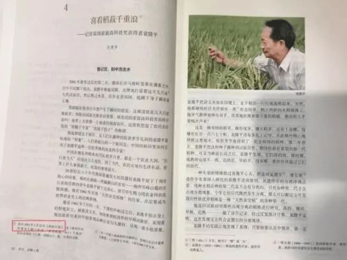 姻缘大人请留走剧情介绍(姻缘大人请留步讲的什么)