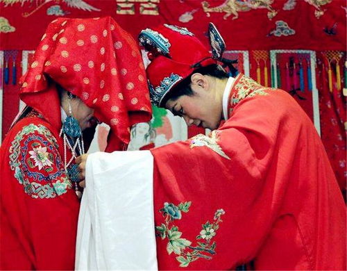 评书说唱三世姻缘(三世姻果歌)
