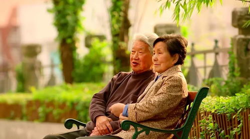 泉州姻缘树在哪里买(为什么手淫多了长不高)