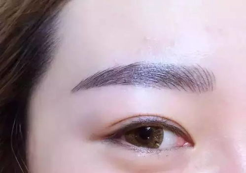 男人纹什么眉毛旺姻缘(男人纹什么眉毛招财)